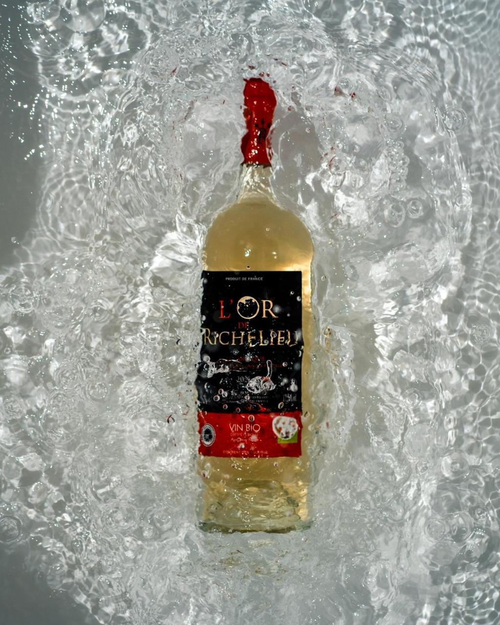 Chateau Richelieu Fronsac  Εξωτερικό φωτογραφία